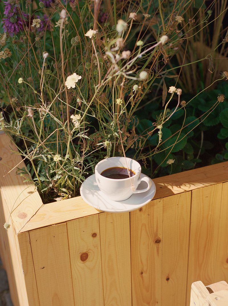 A cup of coffee in the sun