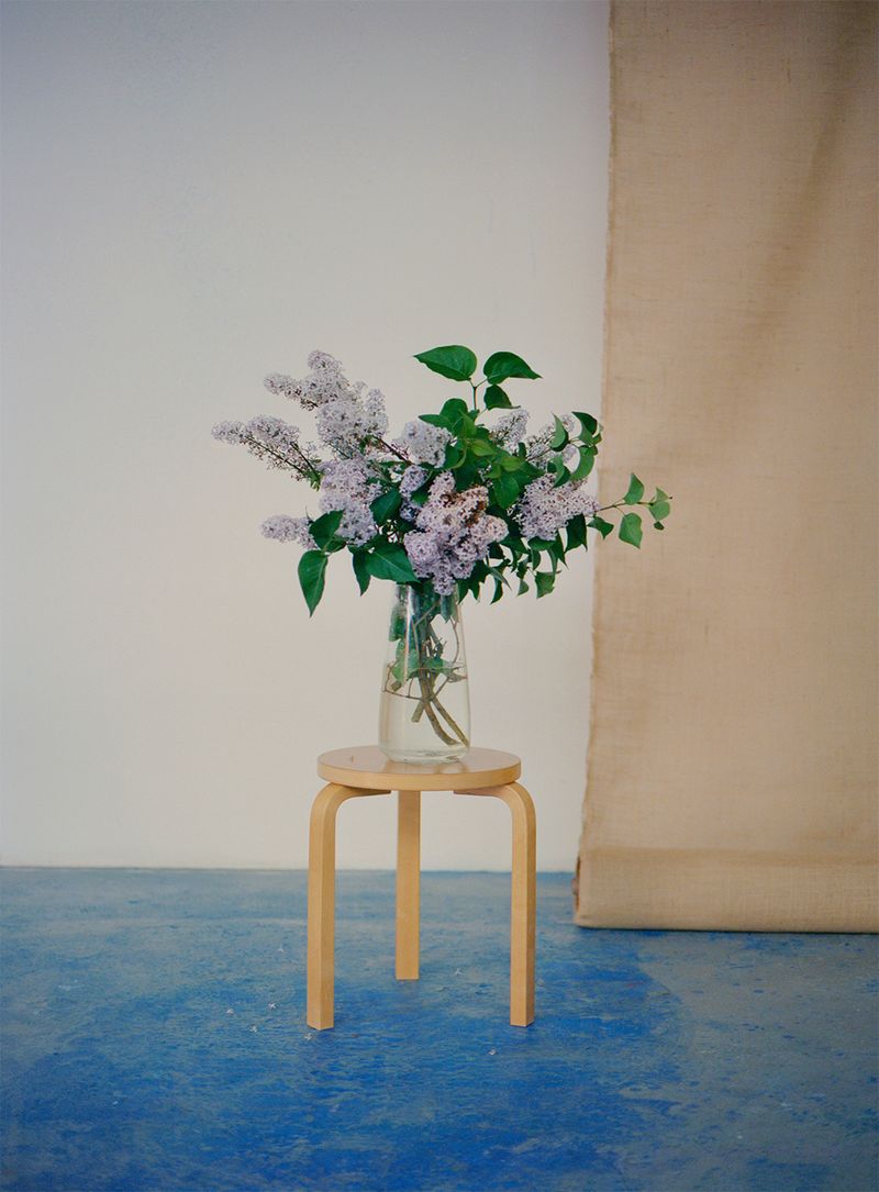 Una Firm - Flower arrangement